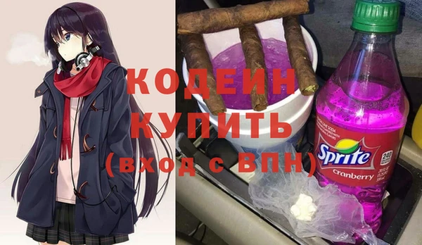 индика Верея