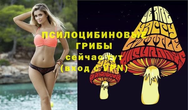 прущие крисы Белокуриха