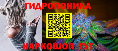 spice Абакан