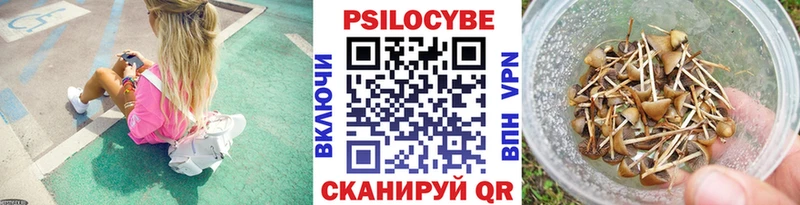 Псилоцибиновые грибы Cubensis  Горячий Ключ 